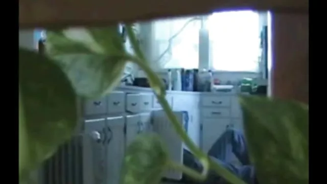 成熟的拉丁人喜歡一個很好的大硬公雞