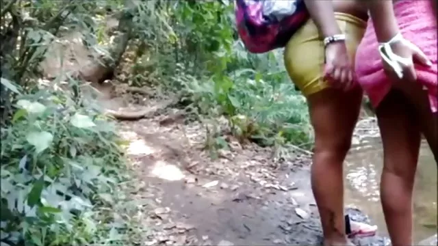 修道院及其毛茸茸的修女