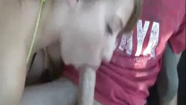 摧毀邪惡的金發小貓